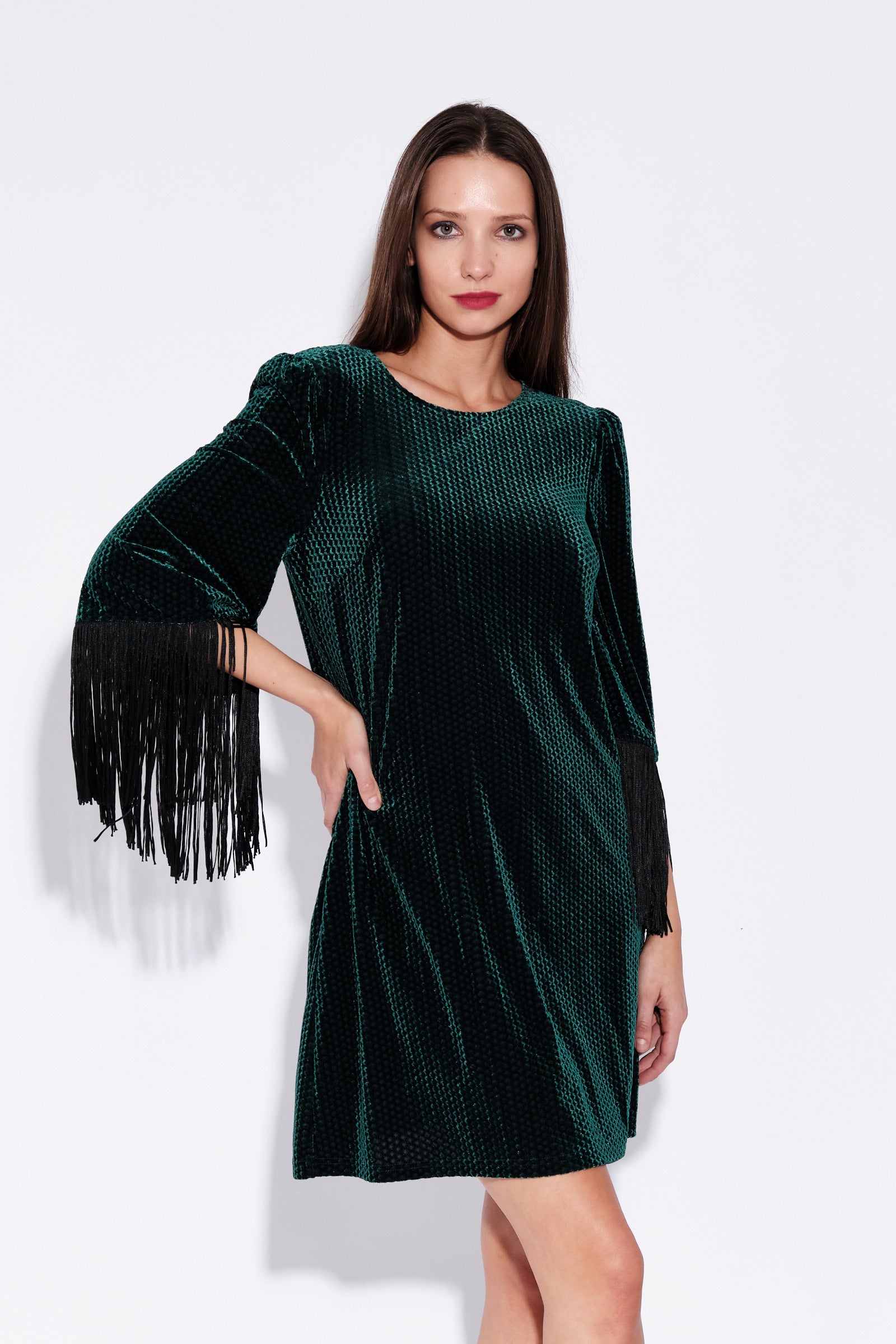 Rosamee Fringe Trim Sleeve Mini Dress in Green Louche