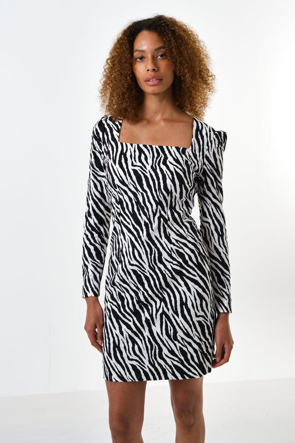 Anala Zebra Print Long Sleeve Mini Dress