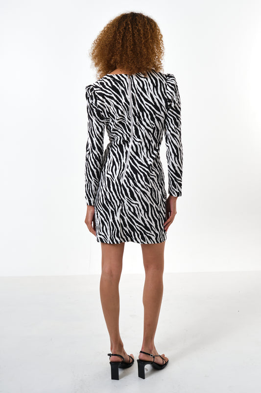 Anala Zebra Print Long Sleeve Mini Dress