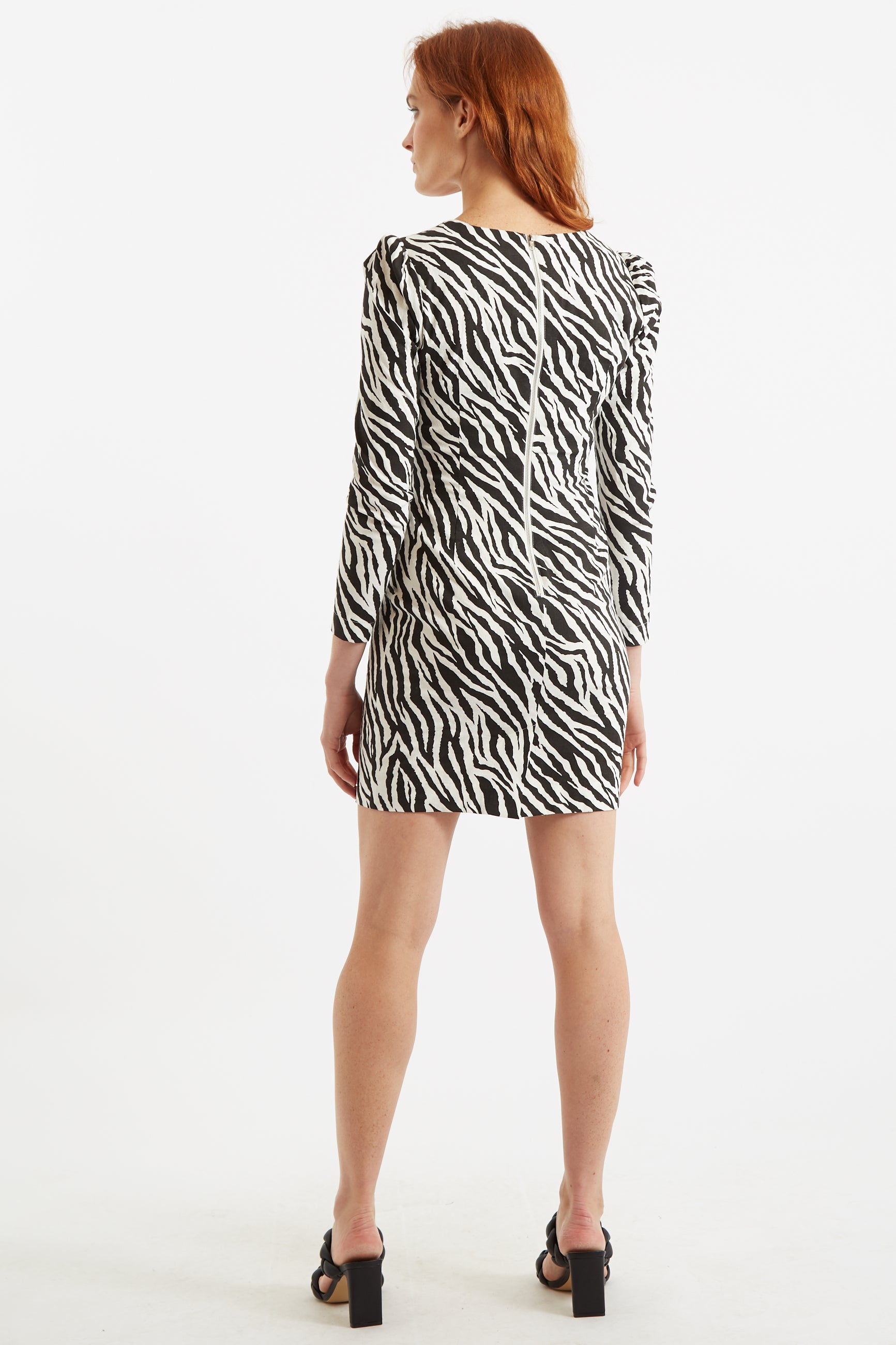 Long sleeve 2024 zebra print dress